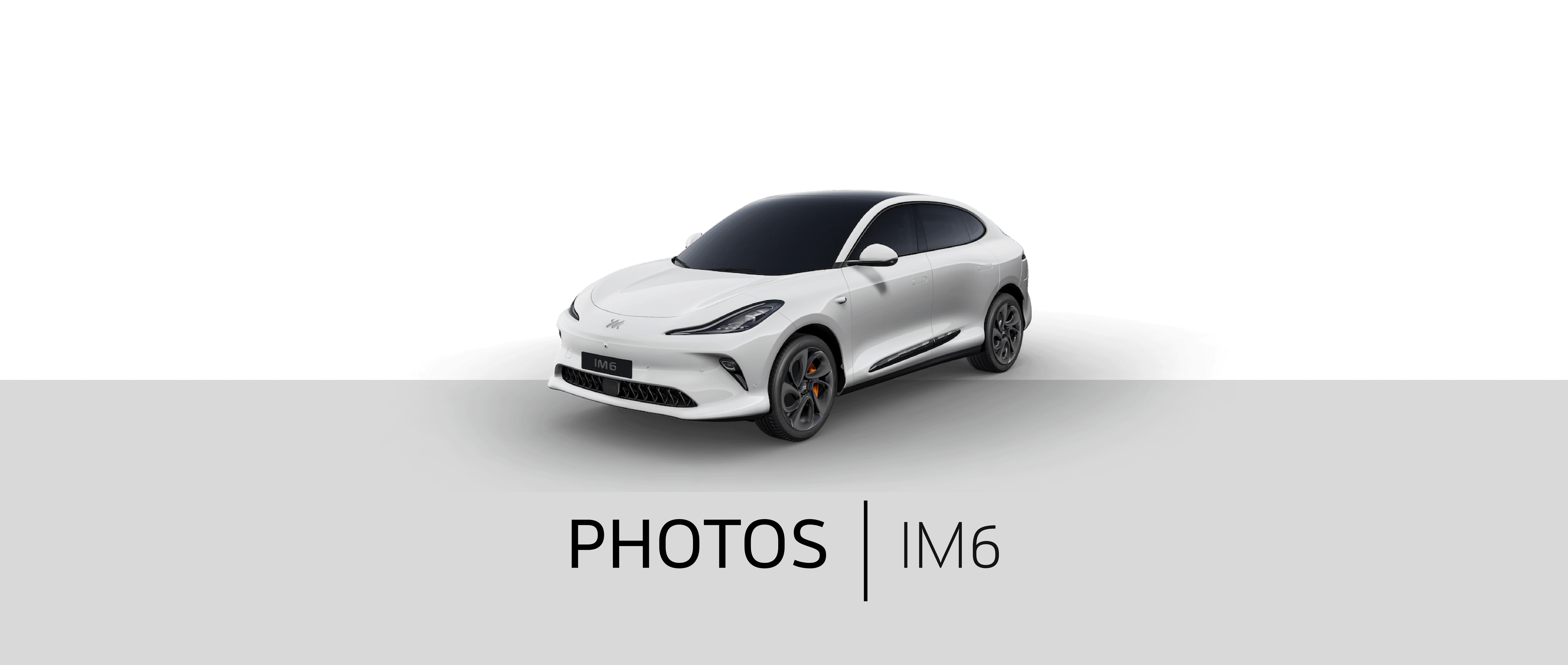 im-motors-im6